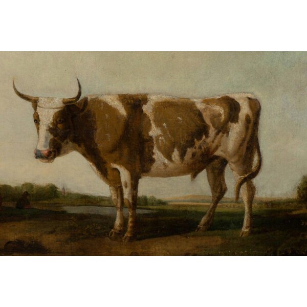 Oil on canvas of cow in landscape c.1800 Closeup Horns